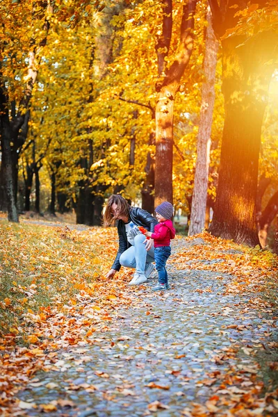 Šťastné Dítě Chlapeček Smát Hrát Podzimním Parku Roky Staré Batole — Stock fotografie