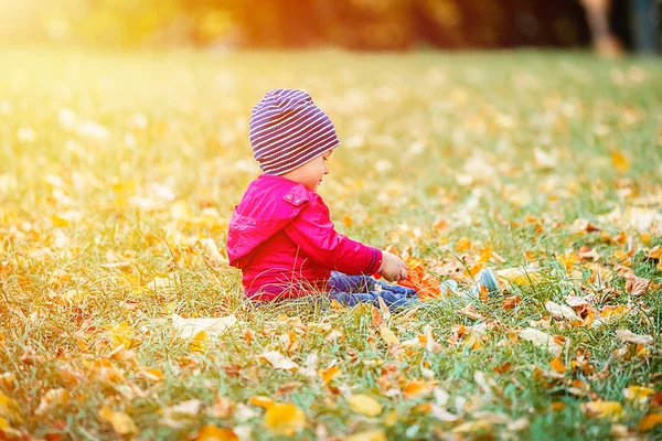 2 roky staré batole bavit venkovní na podzim žluté park — Stock fotografie