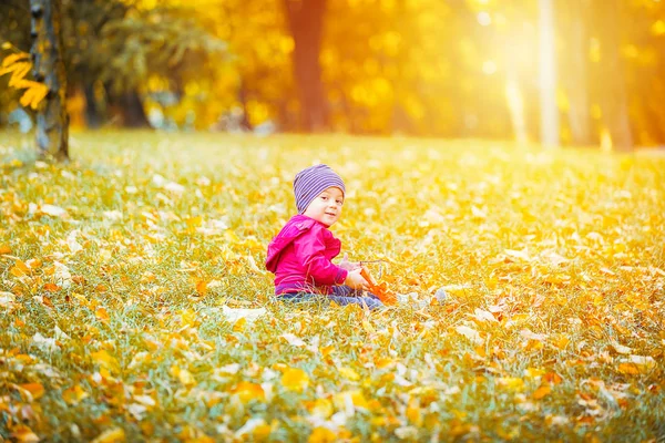 Happy Little Child Baby Boy Laughing Playing Autumn Park Years Stock Image