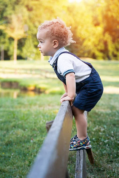 Šťastné dítě baví lezení na plotě v parku na teplý letní den — Stock fotografie