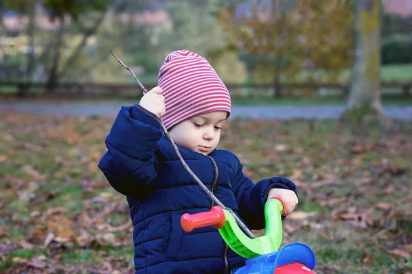 Roztomilý Chlapeček Kid Teplých Podzimních Kousků Baví Tříkolka Aktivní Trávení — Stock fotografie