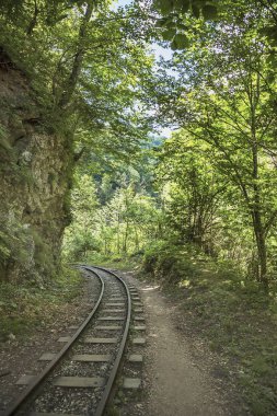 Guam gorge, Krasnodar bölgesi, Rusya güzel manzarasına. Ağaçlar ve montains tarafında. Güzel maceracı arka plan.
