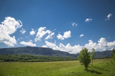 Guam gorge, Krasnodar bölgesi, Rusya güzel manzarasına. Ağaçlar ve montains tarafında. Güzel maceracı arka plan.