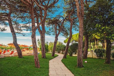 Yaz aylarında yüzme havuzunda rahatlatıcı güzel havanın tadını... Tatil kavramı.