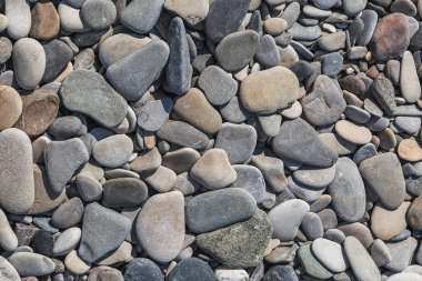 Soyut desen gri renk arka plan yuvarlak renkli.