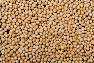 Kopya alanı metni siyah arduvaz zemin üzerine soya fasulyesi. Temiz yemek kavramı.