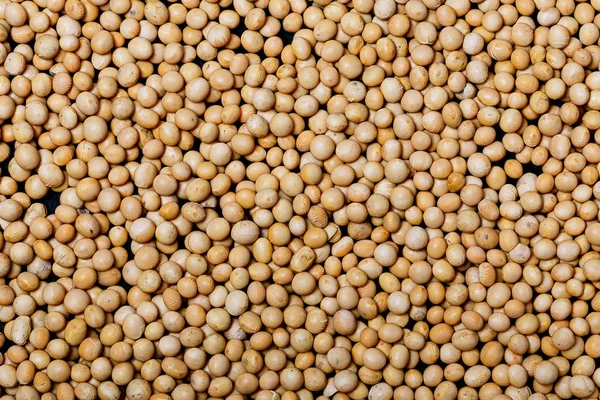 Kopya alanı metni siyah arduvaz zemin üzerine soya fasulyesi. Temiz yemek kavramı.