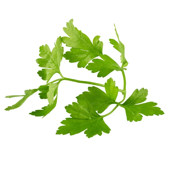 Fresh parsley leaves isolated on white background — Stock Photo, Image
