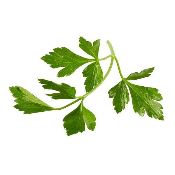 Fresh parsley leaves isolated on white background — Stock Photo, Image