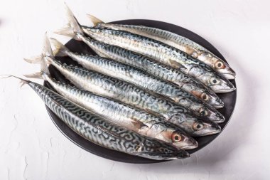 Sağlıklı gıda çiğ taze mavi balık ile arka plan. Yumuşak odak, ücretsiz kopya alanı.