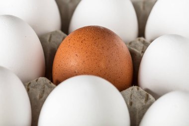 Taşıma için karton veya kutular paketlenmiş yumurta