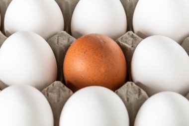 Taşıma için karton veya kutular paketlenmiş yumurta