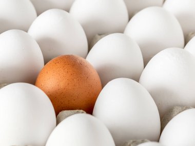 Taşıma için karton veya kutular paketlenmiş yumurta