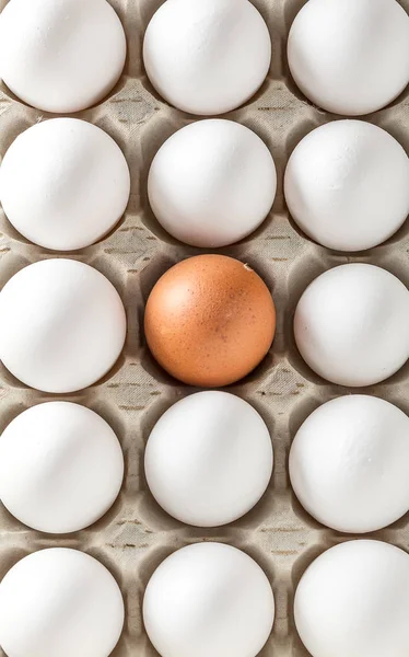 Taşıma için karton veya kutular paketlenmiş yumurta — Stok fotoğraf