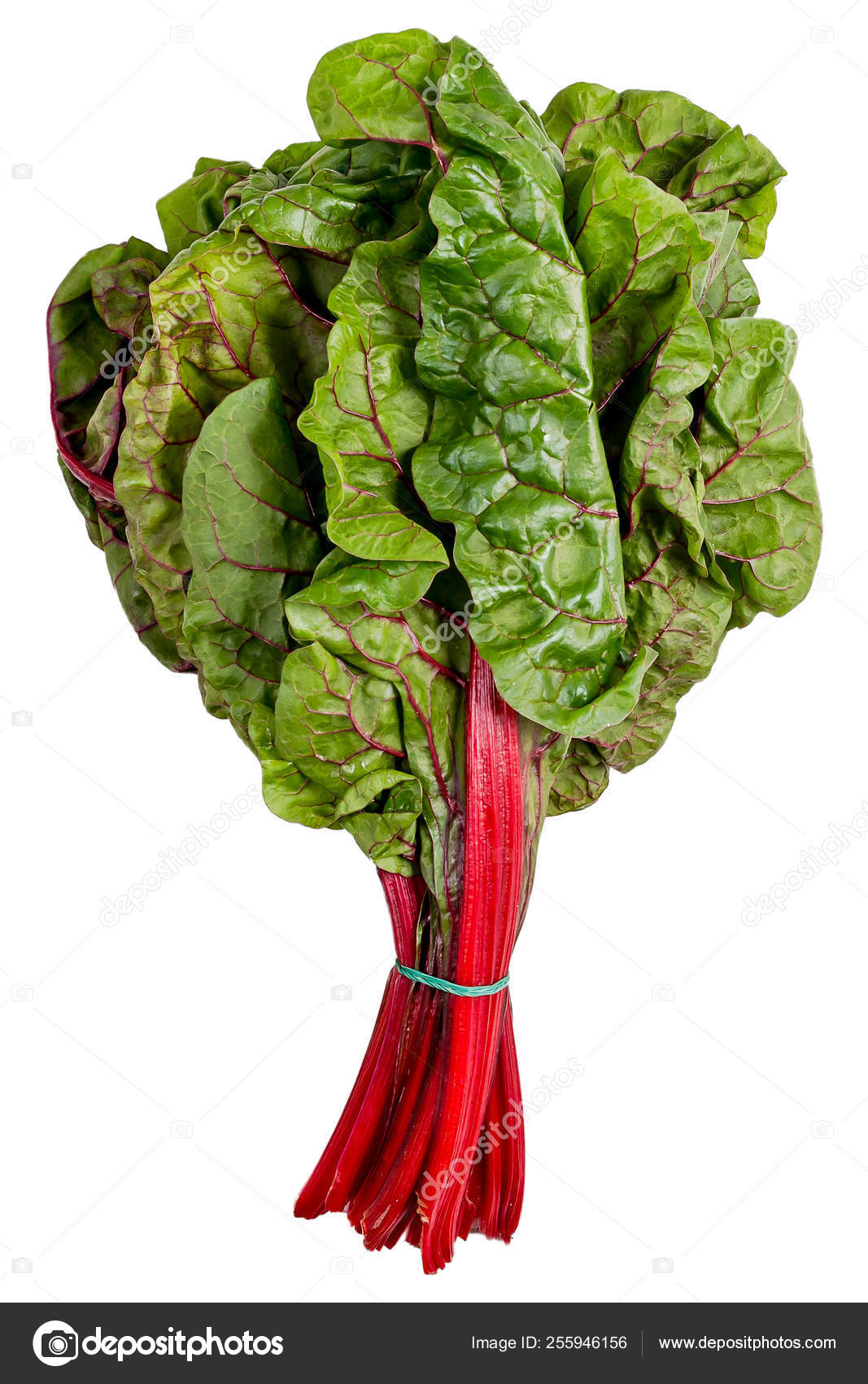 beterraba diet e saude