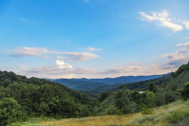 Güzel maceracı arka plan ağaç ve yan montains