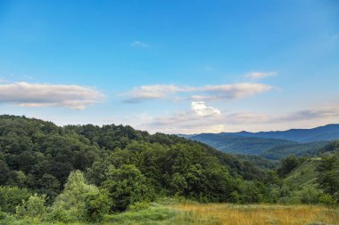 Güzel maceracı arka plan ağaç ve yan montains