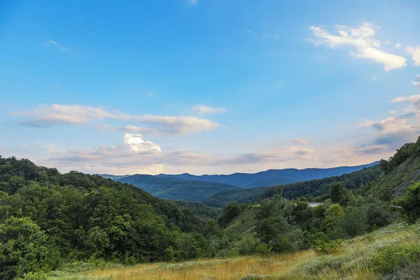 Hermoso fondo aventurero con árboles y montañas en el lado —  Fotos de Stock