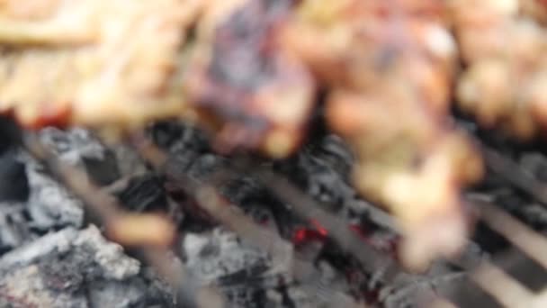 Νόστιμο ψήσιμο κατσικίσιο κρέας στο ανοιχτό Γκριλ — Αρχείο Βίντεο