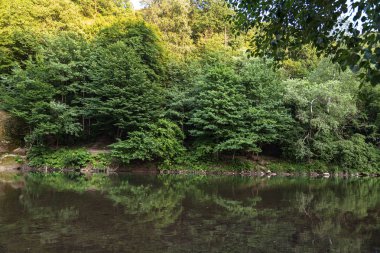 Güzel maceracı arka plan ağaç ve yan montains