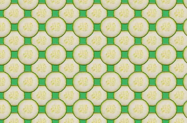 Coral cucumbers slice pattern on colorful background — Stock Photo, Image