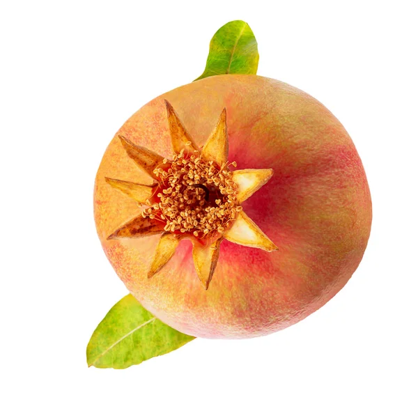 Fresh pomegranate fruits isolated on white background — Stock Photo, Image
