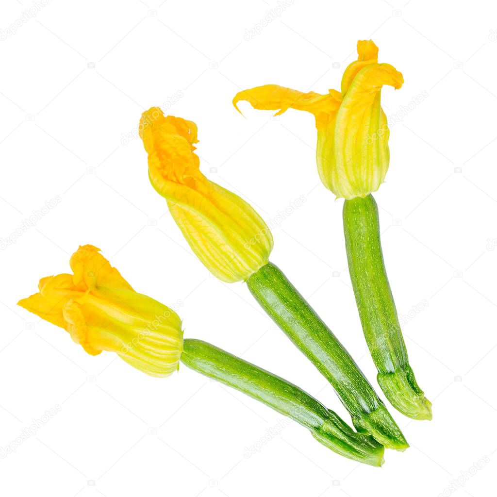 Fresh courgette flowers isolated on white background