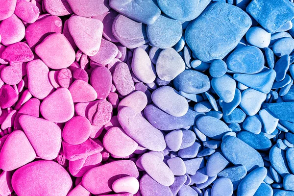 Trendy neon colour background from sea pebbles — Stock Photo, Image