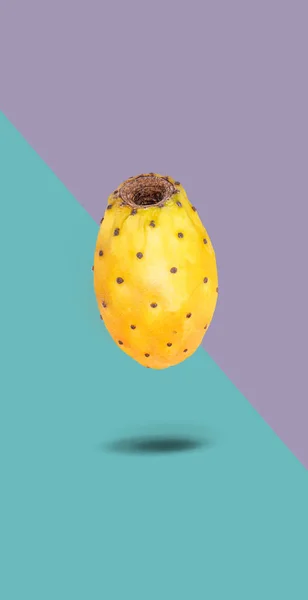Style Créatif Minimal Fruits Poire Piquante Volant Avec Une Ombre — Photo