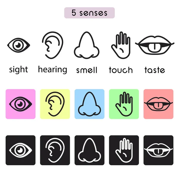 Vijf menselijke zintuigen-zicht, gehoor, geur, smaak en touch lijn pictogram vectorillustratie. — Stockvector