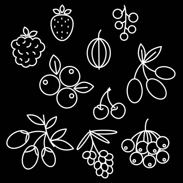 Superfood çilek Icon set Kuşburnu, çilek, acai, ahududu, juniperus, kızılcık, Deniz topalak, kiraz, yaban mersini, goji, blackberry, frenk üzümü.