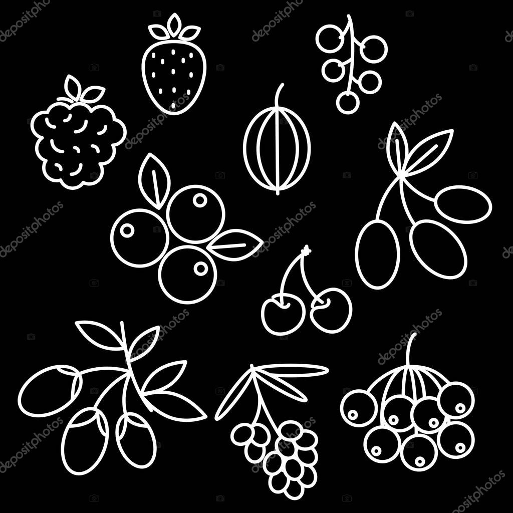 Superfood berries icon set rosehip, strawberry, acai, raspberry, juniperus, cranberry, sea buckthorn, cherry, blueberry, goji blackberry and currant. Berry outline icons on black background