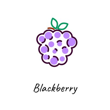 Böğürtlen simgesi vektör illüstrasyon. Anahat renkli stil.