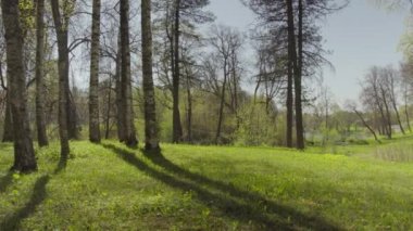 İnsanlar parkta yürüyor. Sıcak güneşli gün