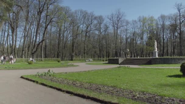 Άνθρωποι Περπατάνε Στο Πάρκο Ζεστή Ηλιόλουστη Μέρα — Αρχείο Βίντεο