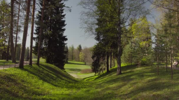 People Walking Park Warm Sunny Day — Stock Video