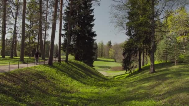 Gente Cammina Nel Parco Calda Giornata Sole — Video Stock