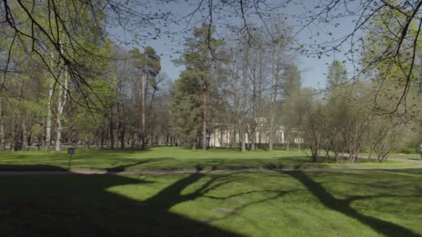 Gente Está Caminando Parque Cálido Día Soleado — Vídeos de Stock