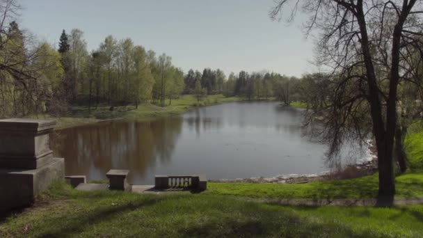 Gente Está Caminando Parque Cálido Día Soleado — Vídeo de stock