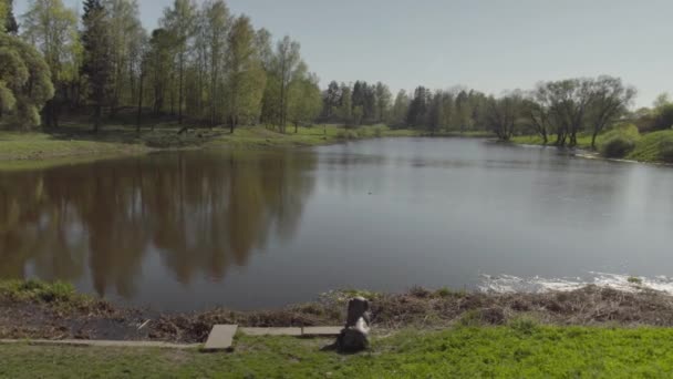 Gente Está Caminando Parque Cálido Día Soleado — Vídeo de stock