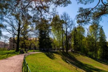 İnsanlar parkta yürüyor. Sıcak güneşli gün