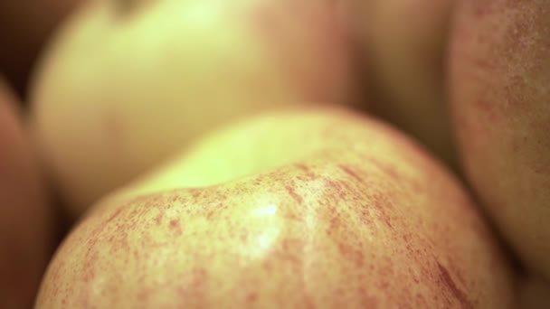 Beaucoup de pommes gros plan — Video