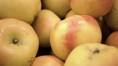 Bir sürü elma yakın çekim