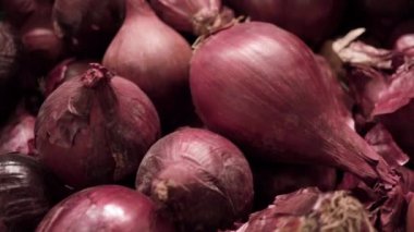 Birçok soğan portre