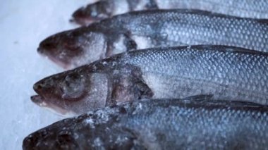 taze balık buza yalan