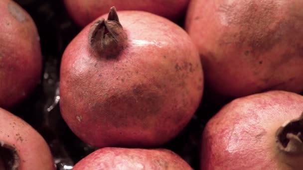 Many pomegranates close-up — Stock Video