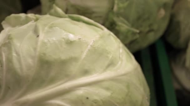 A lot of white cabbage close-up — Stock Video