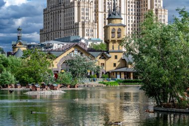 Hayvanat bahçesinde suda ördek yüzmek