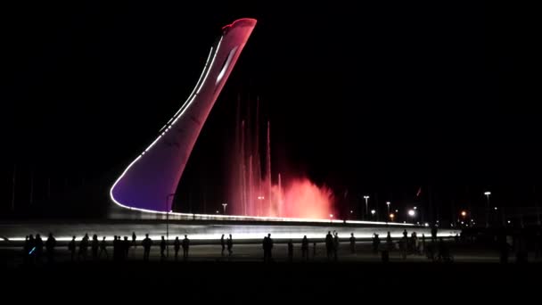 Sochi. Parco Olimpico. Spettacolo di luci di fontane — Video Stock