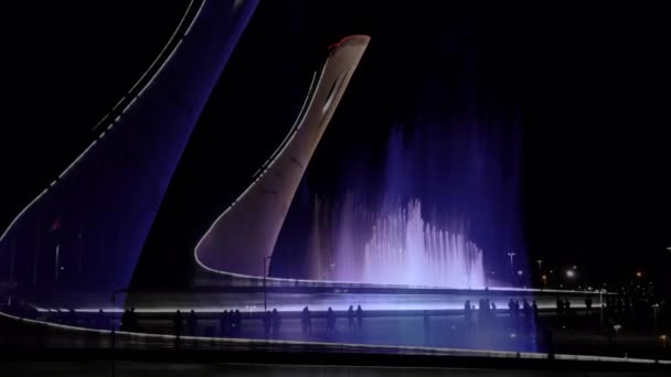 Sochi. Parque Olímpico. Mostra de luz de fontes — Vídeo de Stock